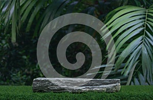 Gray stone tabletop podium floor in outdoors tropical garden forest blurred green leaf plant nature background.Natural product