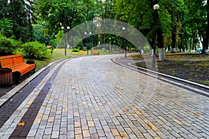 Gray stone walkway in the morning autumn park with orange benches. Mariinsky Park near the Parliament of Ukraine, Verkhovna Rada,