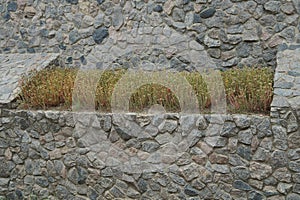 Gray stone wall of a fence with green ornamental plants