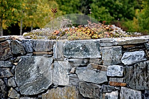 Gray stone wall with solid wood bench folded without cement and concrete. stone quartzite durable retaining wall, garden park. tri