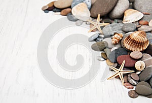 Gray stones, shells and starfish