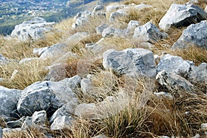 Gray stones among the yellowed grass in the mountains