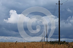 Gray storm clouds over the wheat field with right poles with power lines