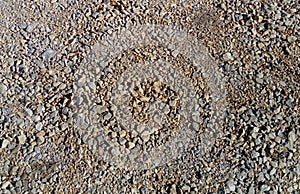 Gray street small pebbles. Natural soil. Tiny different sizes and shades. Background with stone texture. Gray, brown, beige, black