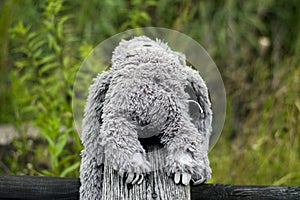 A gray stuffed toy lost by a child.