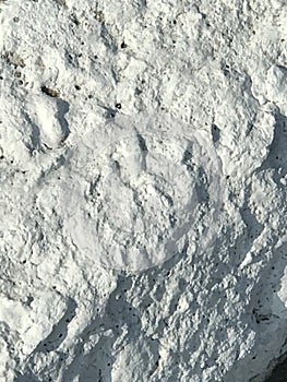 Gray surface of the moon with craters and pits, texture