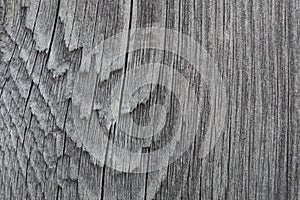 Gray surface of an old weathered blackened board close up