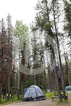 A gray tent in a campsite near Banff