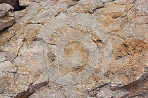 Gray texture of the stone with depressions and spots