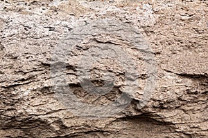 Gray textured stone in close-up, abstract stone background for photo