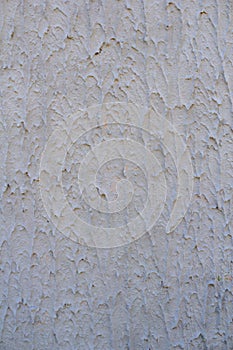 Gray textured wall. Decorative plaster.