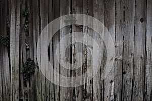 Gray Textured Wood Fence Background