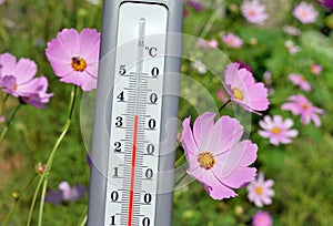 Gray thermometer on a natural floral background.