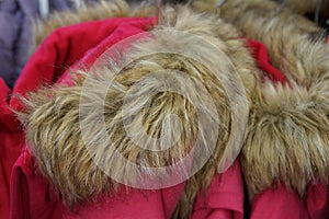 Gray thick fluffy fur on the collar of red clothes