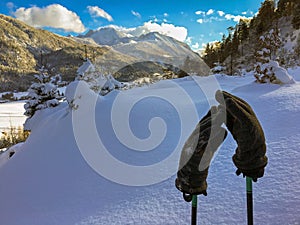 Gray thick winter gloves on hiking trekking sticks on fresh snow