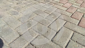 Gray tiles on the sidewalk in the city outdoors. Background and texture with lines and squares of tiles. Abstract frame