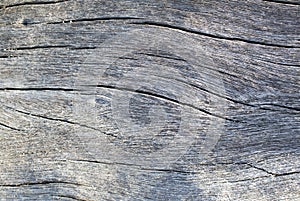 Gray timber board with weathered crack lines