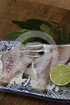 Gray triggerfish, or Porquinho in Portuguese, on dishware photo