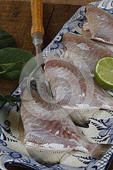 Gray triggerfish, or Porquinho in Portuguese, on dishware photo