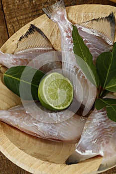 Gray triggerfish, or Porquinho in Portuguese, on rustic bowl photo