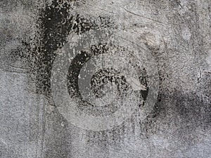 Gray wall background