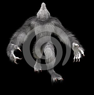 Gray Werewolf Isolated Image In A Black Background