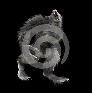 Gray Werewolf Isolated Image In A Black Background
