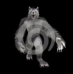 Gray Werewolf Isolated Image In A Black Background