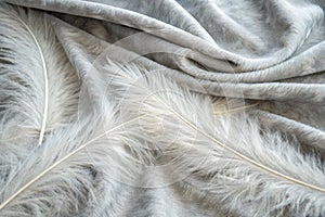 Gray white feather wooly pattern texture background