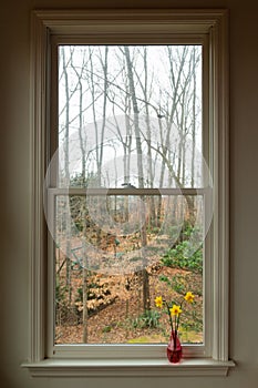 A gray winter day brightened by yellow daffodils in a pink vase in the window