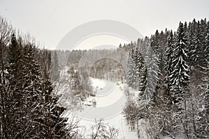 Gray winterday with light snowfall and scenery to frozen river