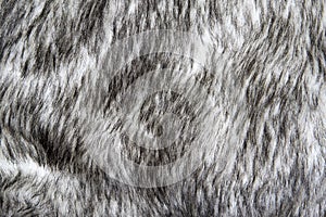 Gray wolf artificial fur background texture design, black and white fake animal fell