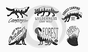 Gray wolf logo and badge. Forest and mountain and hill. Double exposure Concept. A predatory beast. Wild forest animal