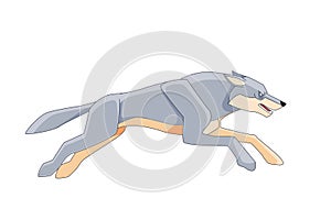 Gray Wolf runs after its prey. Cartoon character of a dangerous mammal animal. A wild forest creature with white fur