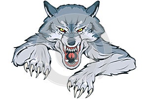 Gray Wolf suitable as logo for team mascot, Wild wolf drawing sketch, Wolf Mascot Graphic