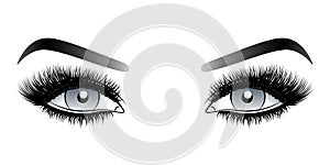 Gray woman eyes with long false lashes with eyebrows.