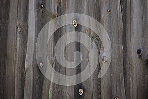 Gray wood, old boards, planks background texture