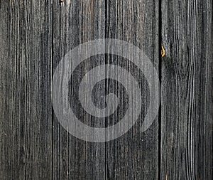 Gray wood, old boards, planks background texture