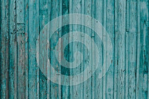 Gray wood texture with traces of cracked aquamarine paint.Abstract background blank template. rustic weathered wood barn