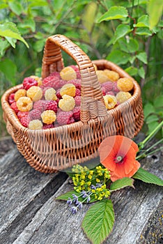 On a gray wooden background, a bouquet with wild flowers and a basket with raspberries