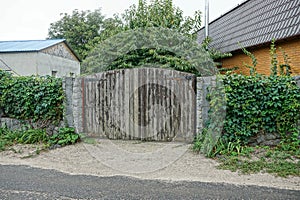 Gray wooden gate and a fence overgrown with fences near the asphalt road