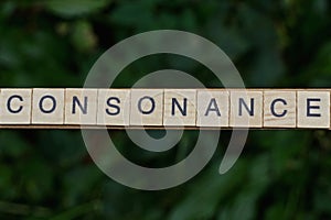 Gray word consonance made of wooden square letters