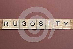 gray word rugosity made of wooden square letters