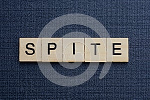 Gray word spite from small wooden letters photo