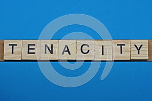 Gray word tenacity in small square wooden letters