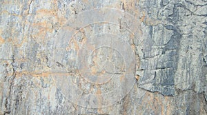 Graye wall texture or background