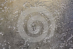 Graye yellow wall texture or background