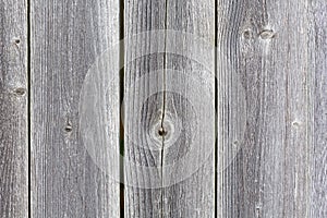 Grayed weathered cedar fencing