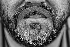 Graying beard and moustache