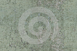 Grayish Green Weathered and Distressed Textured Background Wall